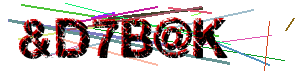 Human verification code (Captcha)